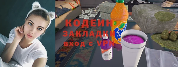 крисы Армянск