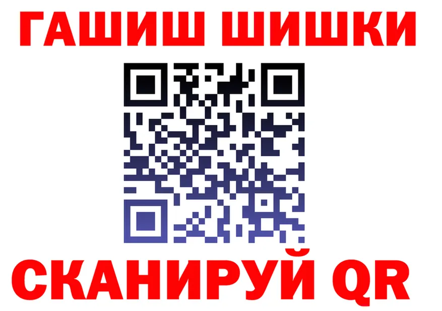 ГАШ Premium зеркало площадка гидра Солнечногорск